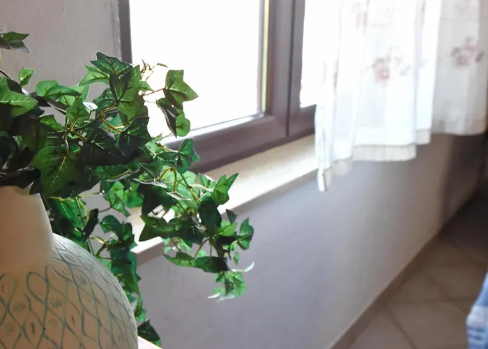 Maja Апартаменты Цриквеница